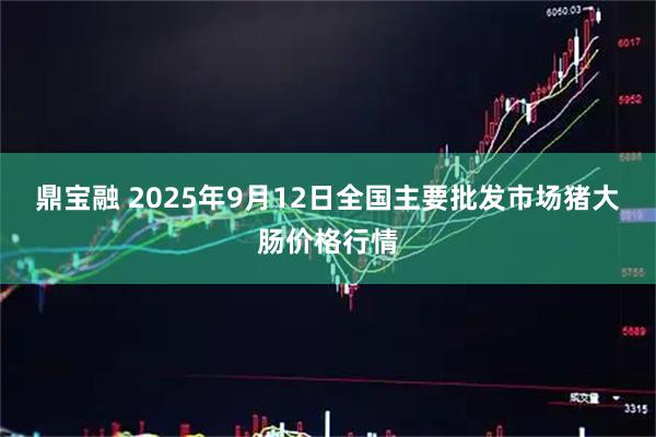 鼎宝融 2025年9月12日全国主要批发市场猪大肠价格行情